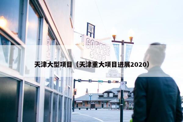 天津大型项目（天津重大项目进展2020）